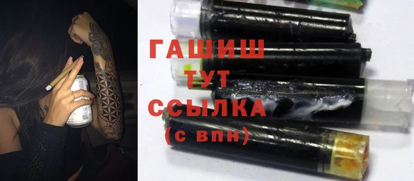 дживик Пересвет