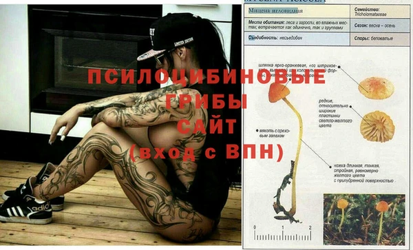кокаин Пестово
