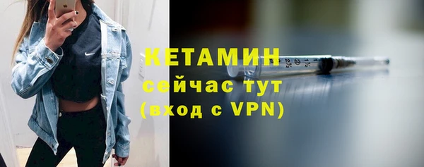 дживик Пересвет