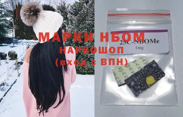 амф Грязовец
