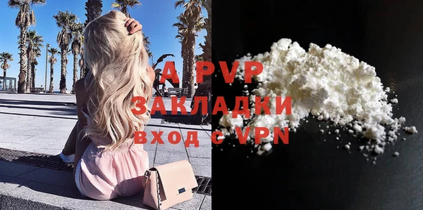 дживик Пересвет