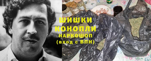 дживик Пересвет
