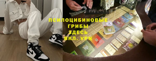дживик Пересвет